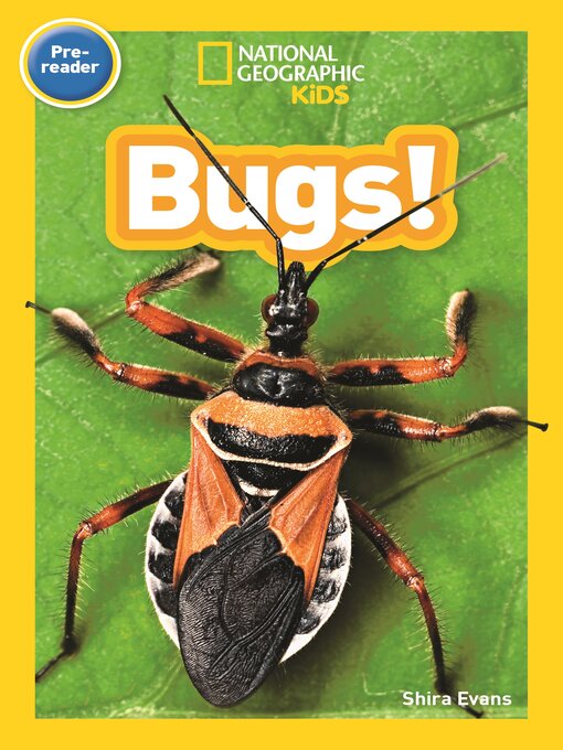 Cover image for Bugs